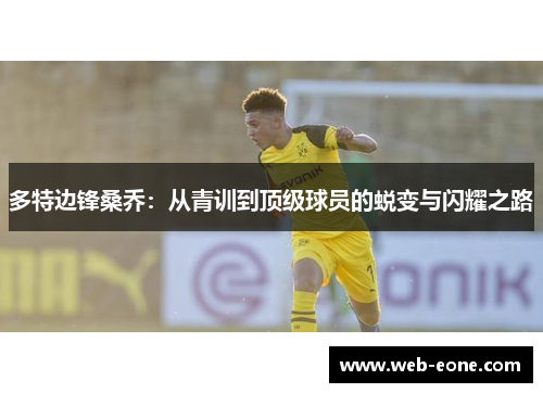 多特边锋桑乔：从青训到顶级球员的蜕变与闪耀之路