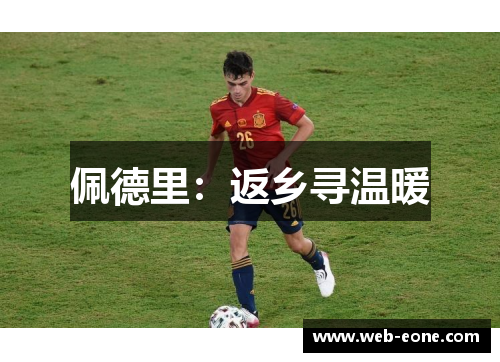 佩德里：返乡寻温暖