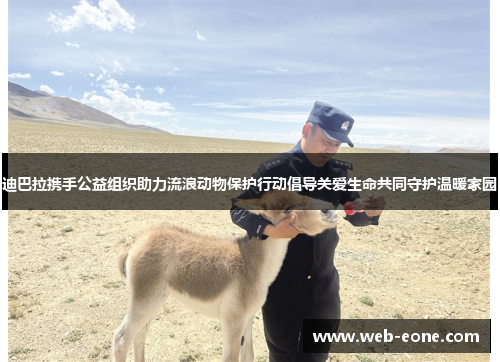 迪巴拉携手公益组织助力流浪动物保护行动倡导关爱生命共同守护温暖家园