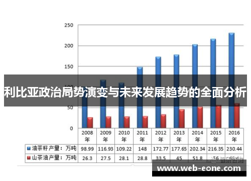 利比亚政治局势演变与未来发展趋势的全面分析