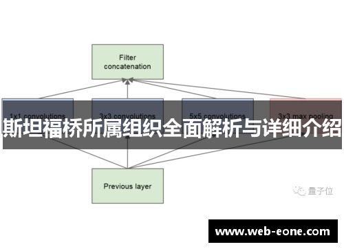 斯坦福桥所属组织全面解析与详细介绍
