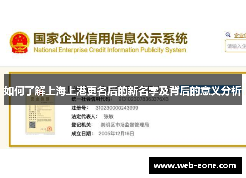如何了解上海上港更名后的新名字及背后的意义分析